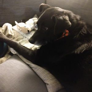 Meet your Posher, Kyle